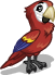 animal macaw - Metas: 2º fase do parque Nacional